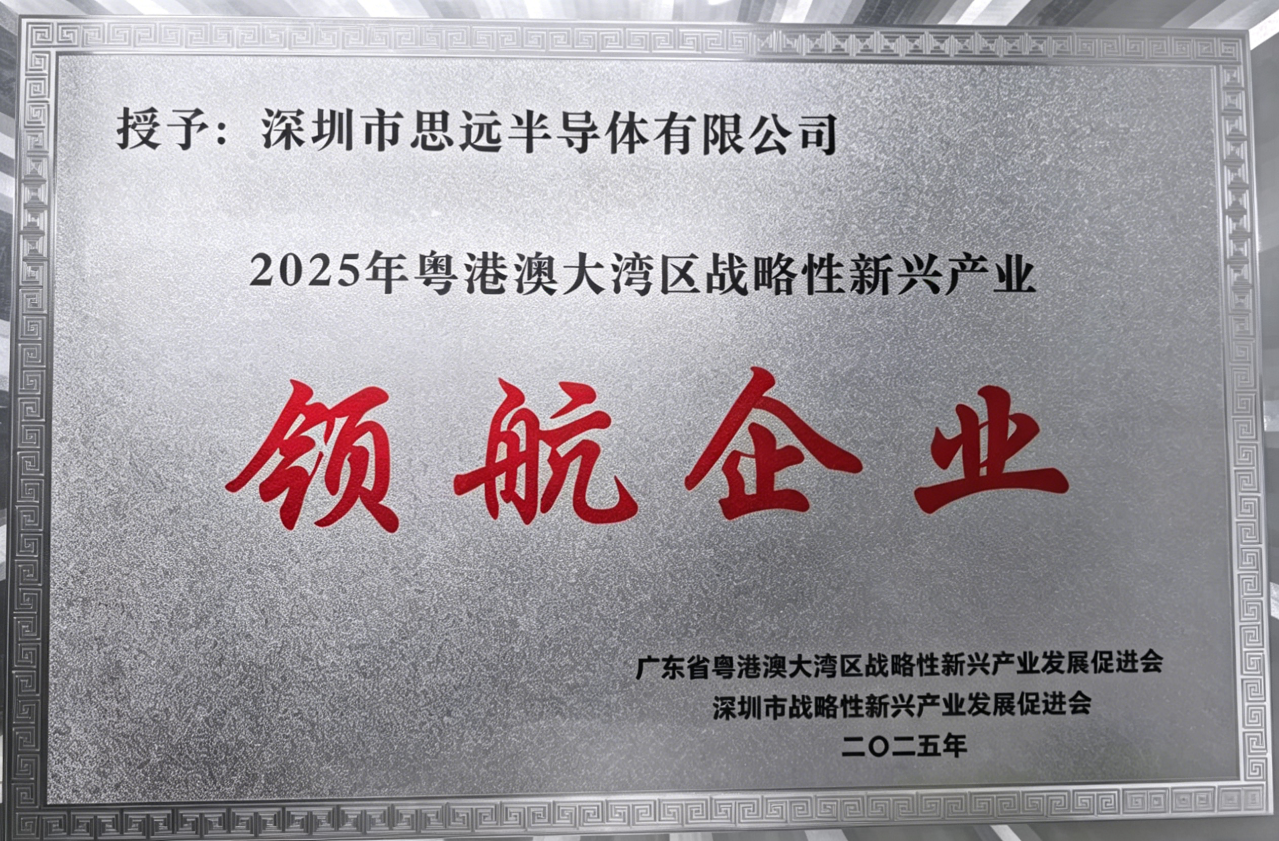 1778662494526619.png beat365官网获2025粤港澳大湾区战略性新兴产业领航企业.png